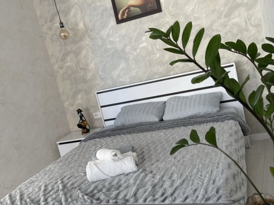 Сдам Студия на Каманина до лета Одеса