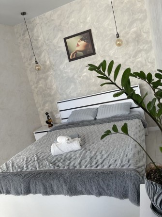 Сдам Студия на Каманина до лета - фото 1