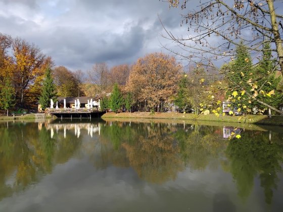 Довгострокова оренда квартири Поляна Сонячне Закарпаття Руська Поляна