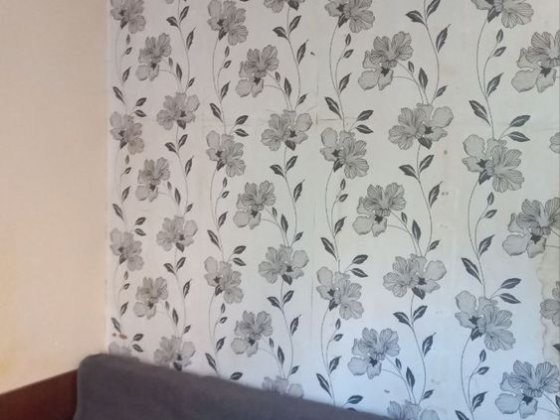 Сдаю комнату заводской  район Миколаїв