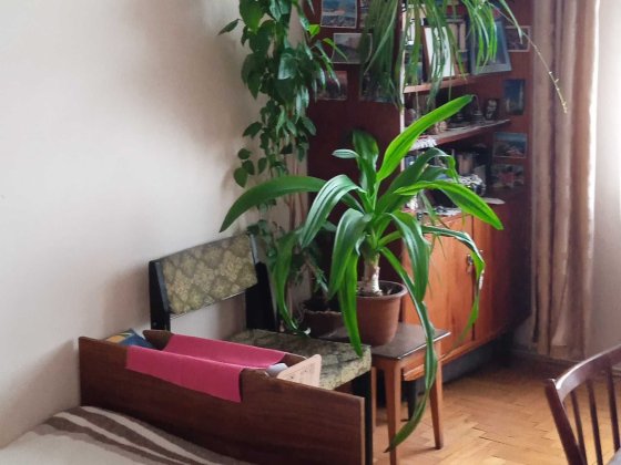 Підселення, для не дуже вибагливих, кому дуже потрібне житло. Львів