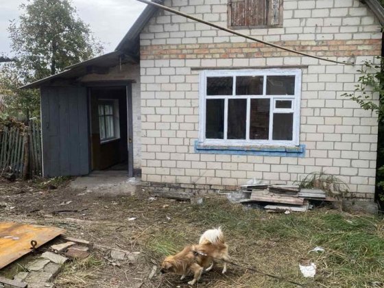 Продам дом на 14 районі Олександрія