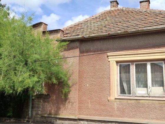 Берегово будинок 4 кімнати, 20 сот землі. Берегове