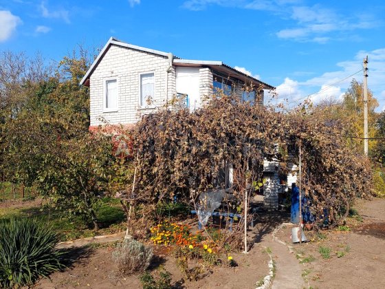 Затишна дача неподалік від лісу