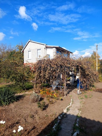 Затишна дача неподалік від лісу - фото 1