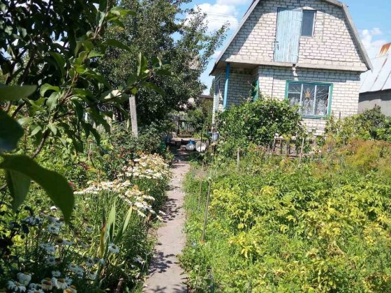 Дача на Власівці Власовка