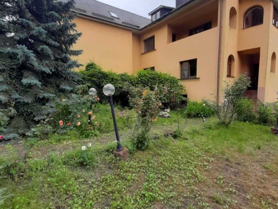 Великий будинок біля лісу та озера Васильков