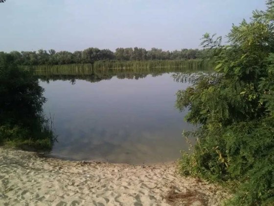 Продам дачу біля води та лісу