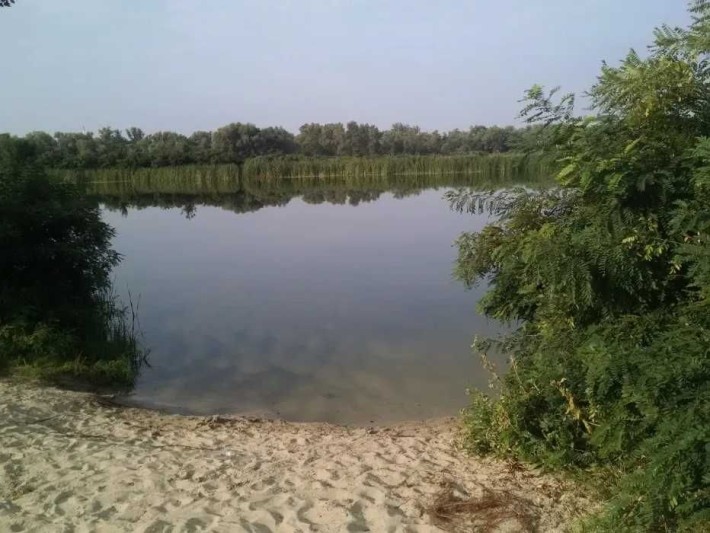 Продам дачу біля води та лісу - фото 1