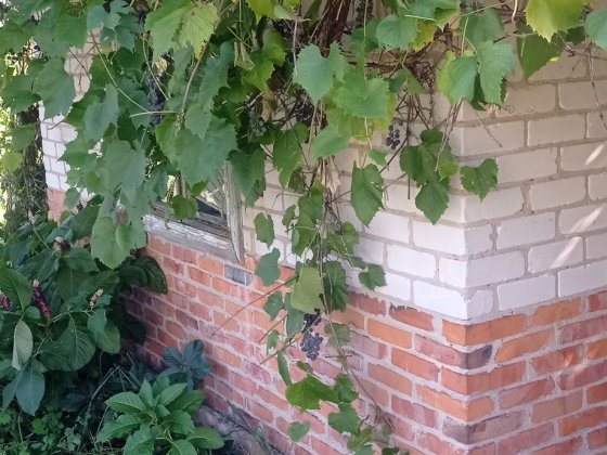 Не дорого дача в кристалле с мебелью Глухів