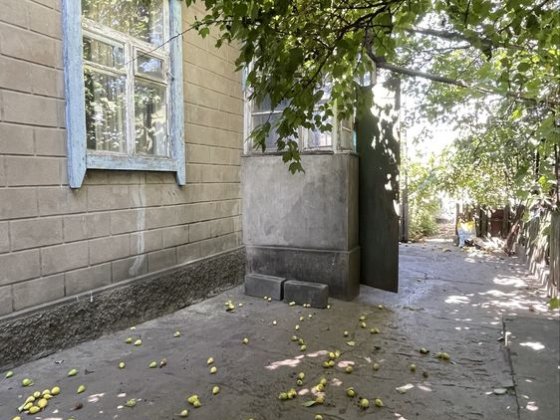 Продам будинок вулиця Таманська Каменское