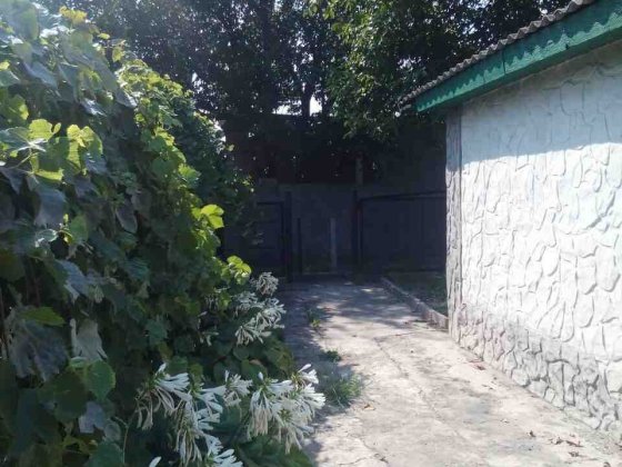 Продам дом біля води та лісу