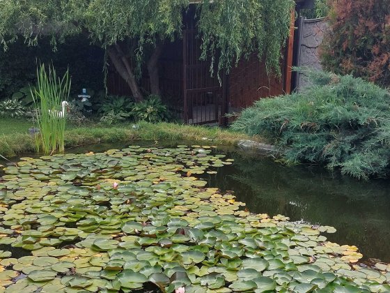 Продам 2х этажный дом Дергачі