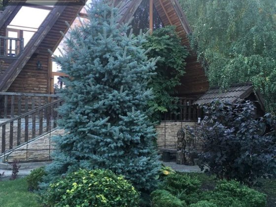 Продаж будинку в Знам'янці Знаменка