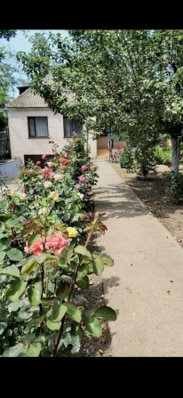 Дом с солнечными панелями и городской канализацией - фото 1