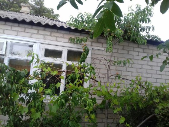 Продам Дом в городе Изюме Ізюм