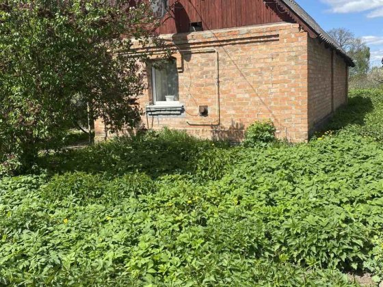 Продається будинок в селі Козятин. Казатин