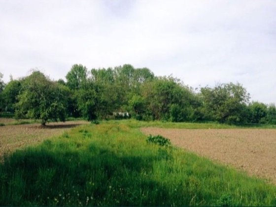 Пригород. Старый домик 50сот. У дороги. Черноморск