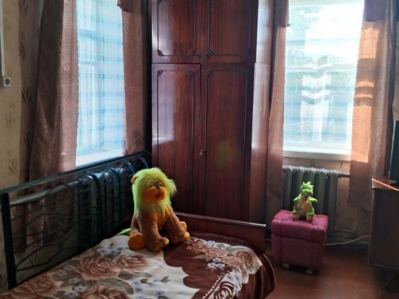 Продам будинок із надмірними спорудами Кам'янка