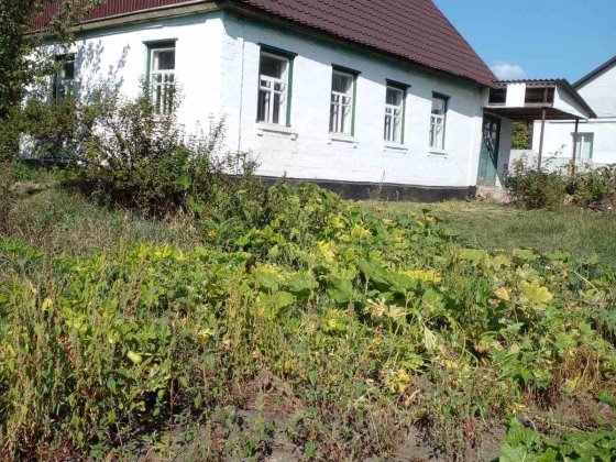 Продається  приватний   будинок Кам'янка