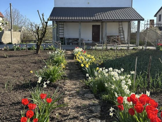 Сог Ветеран. Продаж будинку у моря Черноморск