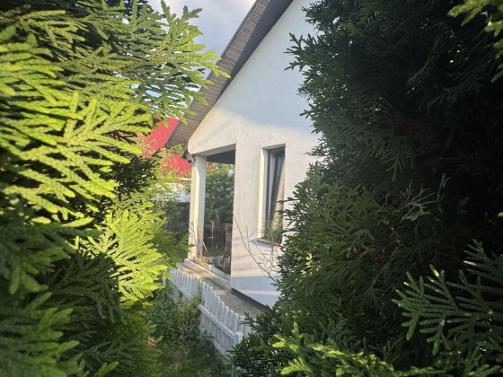 Будинок з ремонтом Гостомель