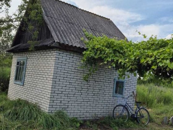 Продається дача масив Машинобудівник Ковель