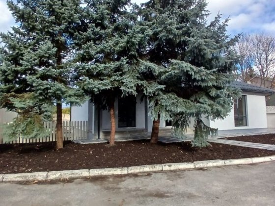 ОДНОПОВЕРХОВИЙ на 5 сотках з підвалом на 100м2 Гостомель