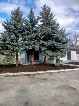 ОДНОПОВЕРХОВИЙ на 5 сотках з підвалом на 100м2 - фото 1