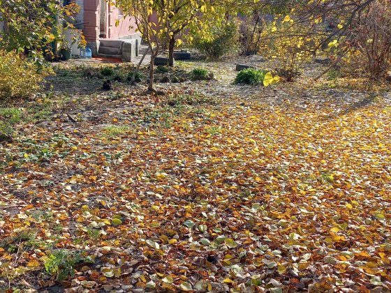 Продам будинок у місті Берестин (район Низовки) Берестин