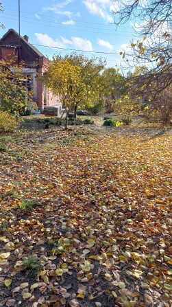 Продам будинок у місті Берестин (район Низовки) - фото 1