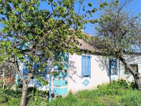 Продам дом в селе Домаха Лозова