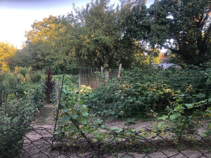 Будинок не далеко від Мукачева - фото 1