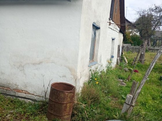 Будинок з присадибною ділянкою Звягель