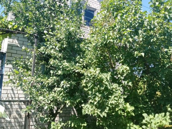 Дача на Перевале. Самар