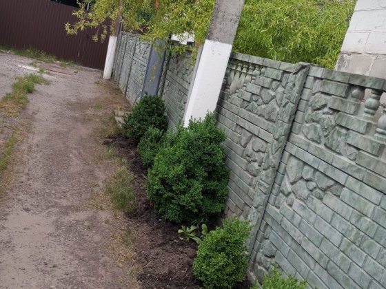 1/2 Будинку в місті