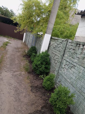 1/2 Будинку в місті - фото 1