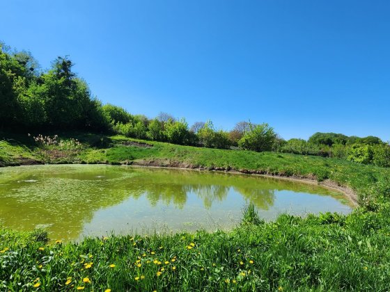 Продам будинок м.Обухів Яблуневий район Обухів