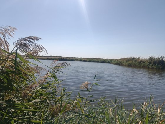 Продам ділянку,  свій берег Перевал