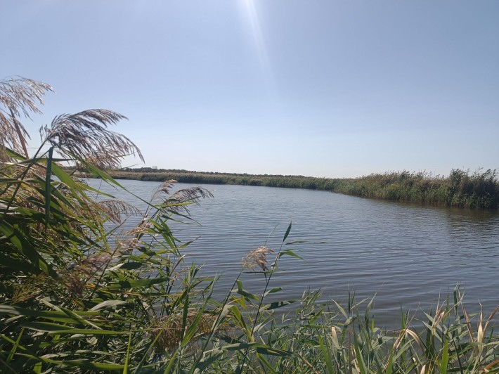 Продам ділянку,  свій берег Перевал - фото 1