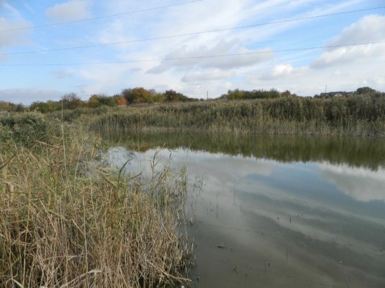 Продам дачу возле ставка