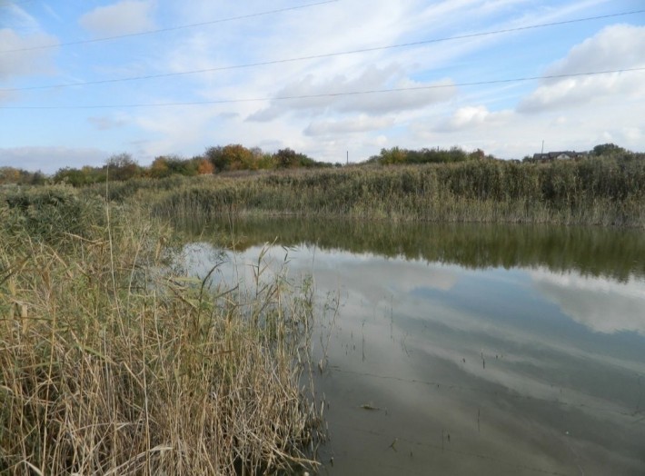Продам дачу возле ставка - фото 1