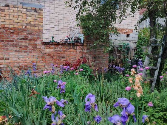 Продам дачу в хороші руки! Самар