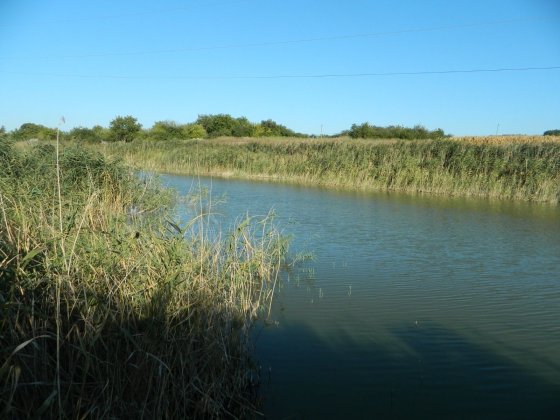 Продам дачу Мар'янівка Самар