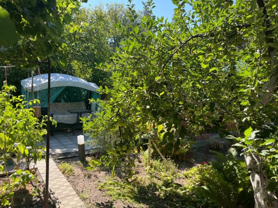 Продам дачу рядом с лесом