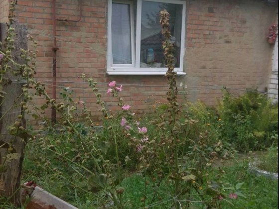 Продам будинок в місті Прилуки або обміняю на квартиру в Прилуках Прилуки