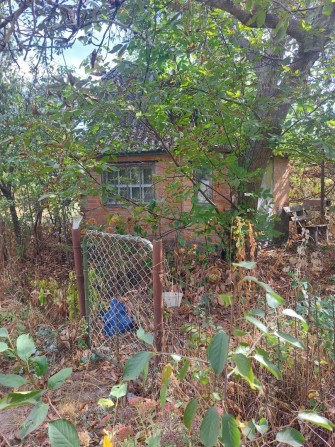 Продам дачу в кооперативі Нафтовик - фото 1