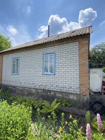 Продам дачу СТ Дружба біля лісу - фото 1