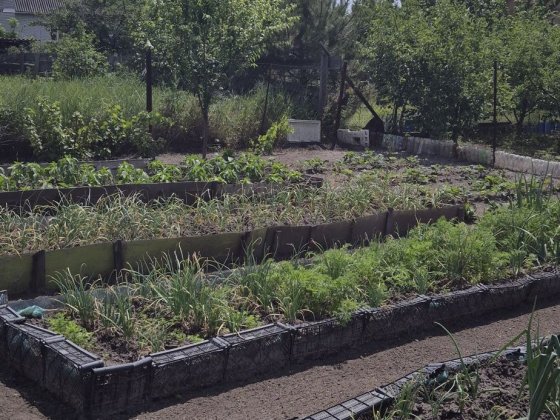 Продається дача в лісі решкут