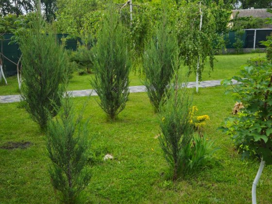 Продам дачу. Самарівський район